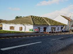 Carmarthenshire Association of Voluntary Services